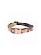 Rogz Urban Medium Gold Dog Collar