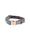 Περιλαίμιο Σκύλου Rogz Urban S Blue