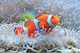 Set Mosaik Mosaiksteine Typ Diamanten 5d Design...