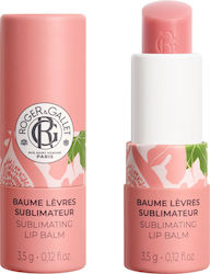 Roger & Gallet Lippenpflege Balsam 3,5 g