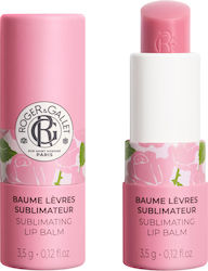 Roger & Gallet Lippenpflege Balsam 3,5 g