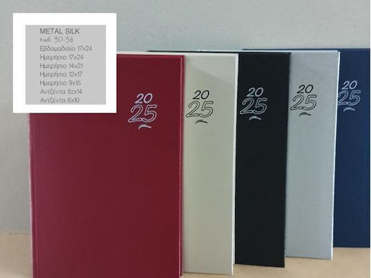 Εκδόσεις Πλανόγραμμα Ημερήσια Ατζέντα 2026 Μπλε 17x24εκ.