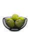 Costos Fruit Bowl Metallic Black 31x15cm