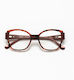 Woodys Brown Tortoise Holly