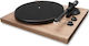 Argon Audio TT MK2 Blet Drive Грамофон Орех