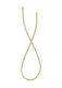 Roca Neo Flex A5b2118va0 Shower Hose Universal 1.5 M Matte Brass