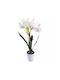 Изкуствено Цвете В Саксия Jup Amaryllis 1851840-a 9236-11 Бяла Керамична Саксия Бяло 48 См