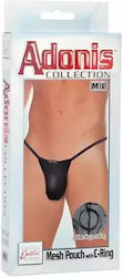 Calexotics Schwarz