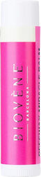 Biovene Barcelona Beeswax Strawberry Extra-moisturizing Miracle Lip Balm Dryness 4 Τμχ Biovene Barcelona Beeswax Strawberry Extra-moisturizing Miracle Lip Balm Dryness 4 Τμχ