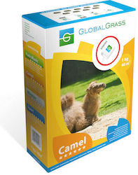 Global Grass Drought-Resistant Lawn Camel 1kg Seed Mix