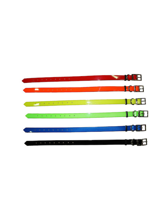 Hundehalsband Für Hunde Glänzendes 2,50cm Gelbes