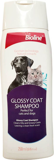 Dog Shampoos & Conditioners Cats Bioline Glossy Coat 250ml