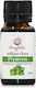 Amygdalea Essential Oil Oregano 12ml Essential Oil Oregano