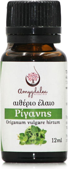 Amygdalea Essential Oil Oregano 12ml Essential Oil Oregano