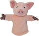 Car Pet Puppet Pig