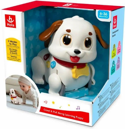 Hola Toys Βρεφικό Παιχνίδι με Μουσική, Φως και Ήχους για 36+ Μηνών