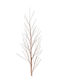 Sucursala Aurie Champagne H180cm