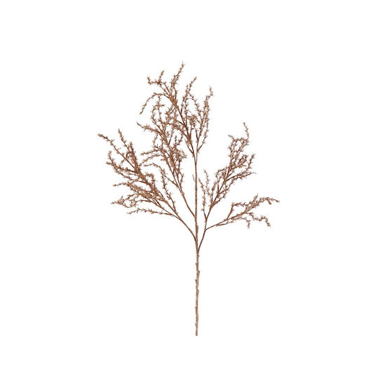 Sucursala Aurie Champagne H180cm