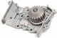 Japko Car Water Pump for Renault Clio / Fluence / Kangoo / Laguna / Megane / Scenic / Thalia Nissan Kubistar Dacia Logan / Dokker / Duster