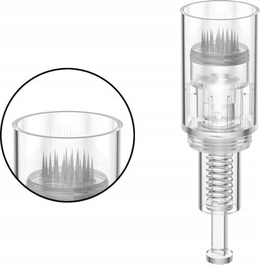 Screw-in Cartridge Derma Pen Dermapen 24 Needle