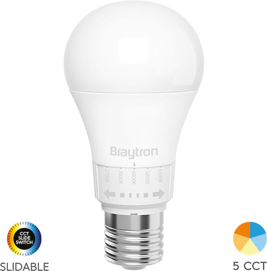 Braytron Λάμπα LED 13.5W για Ντουί E27 και Σχήμα A65