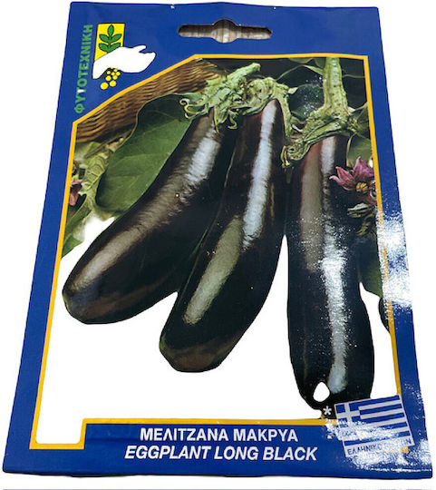 Gemma Σπόροι Μελιτζάνας Μακρυά Μωβ