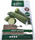 Gemma Samen Kürbisς Zucchini