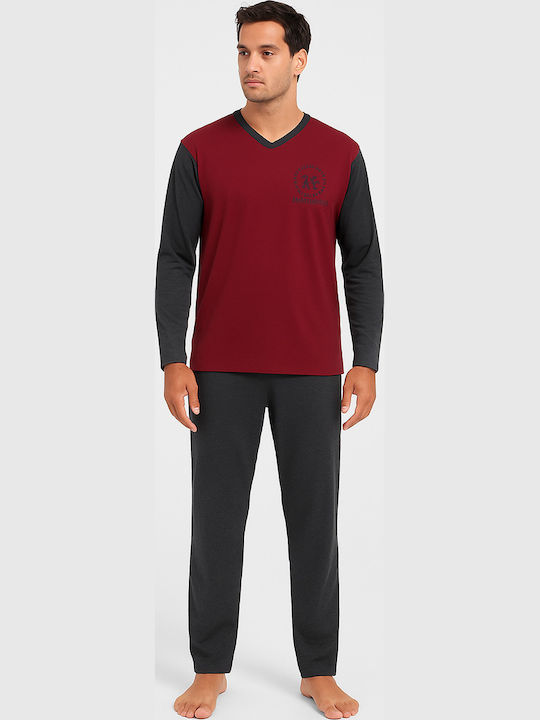 Lion Bordeaux