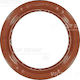 Τσιμουχa Καθρ Bmw 3-series 09 90-09 93 316 I