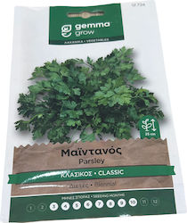 Gemma Samen Petersilie