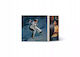 Wishbone Vinyl