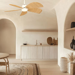 Zambelis Lights Ceiling Fan with White Light Fixture 25328