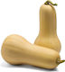 Butternut-Kürbis Bokto F1 500sd Fytro