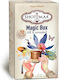 Βιολογικό Τσάι Shoti Maa Magic Box Αll 12 Organic Tea Flavours 24.2 G White 8717853494307