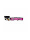Dog Collar with Violet Padding 20mm x 45cm Petcamelot