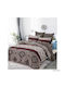 Sheet Sets Semi-Double with Elastic 120x200+20cm. Orf-2025-208 Brown 3pcs
