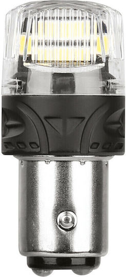 Lampa Lamps Car & Motorcycle Ultra-Lumen Series P21/5W Canbus LED 6500K Cold White 24V 2pcs