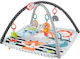 Fisher Price Baby-Spieldecken Und -Gyms Mit Musik Für Neugeborene