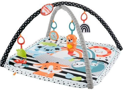 Fisher Price Baby-Spieldecken Und -Gyms Mit Musik Für Neugeborene