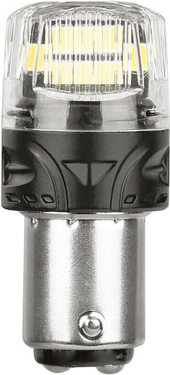 Lampa Lamps Car Ultra-Lumen Series P21/5W Canbus LED 6500K Cold White 12V 2pcs