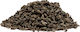 Gunpowder 9372aa Green Tea of China Chinese Dragon 50g