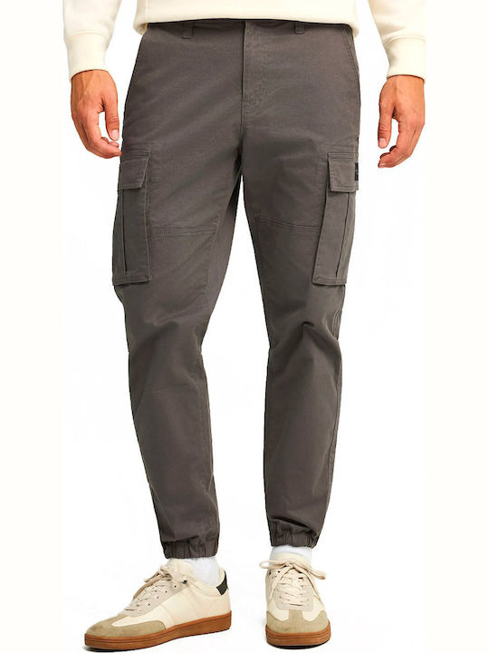 Trousers Cargo in Regular Fit Gray