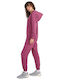 Sweatpants Burgundy