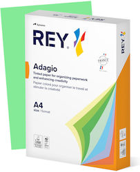Rey Adagio Printing Paper A4 80gr/m² 500 sheets...