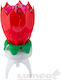 Magic Flower Candle Red Lumea