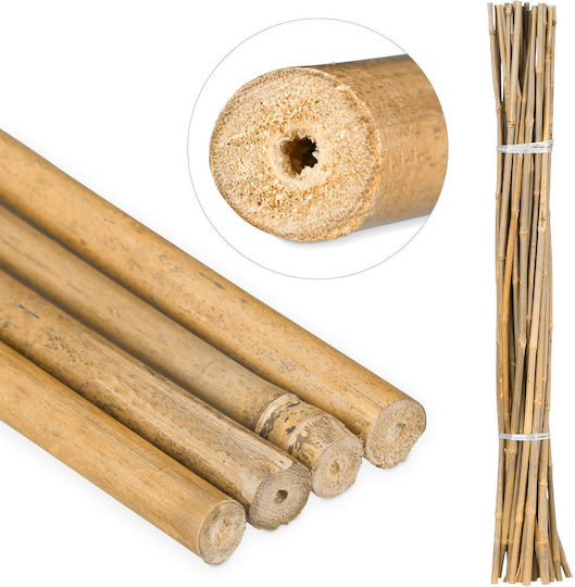 Relaxdays Araci Din Bambus 105cm Din Bambus Natural 25 Bucăți Bețe Din Bambus Ca Suport Pentru Cățărare Decorațiuni Meșteșuguri Naturale