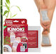 Kinoki Pro Organic Επιθέματα Αποτοξίνωση Άρωμα Wolfberry 10τμχ