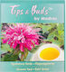 Tips & Buds Earl Grey Green Tea 10 Bags