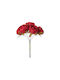 Set Mini Red Roses 3cm 6 Pieces