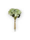 Bouquet Green Hydrangeas Burlap 30x15cm